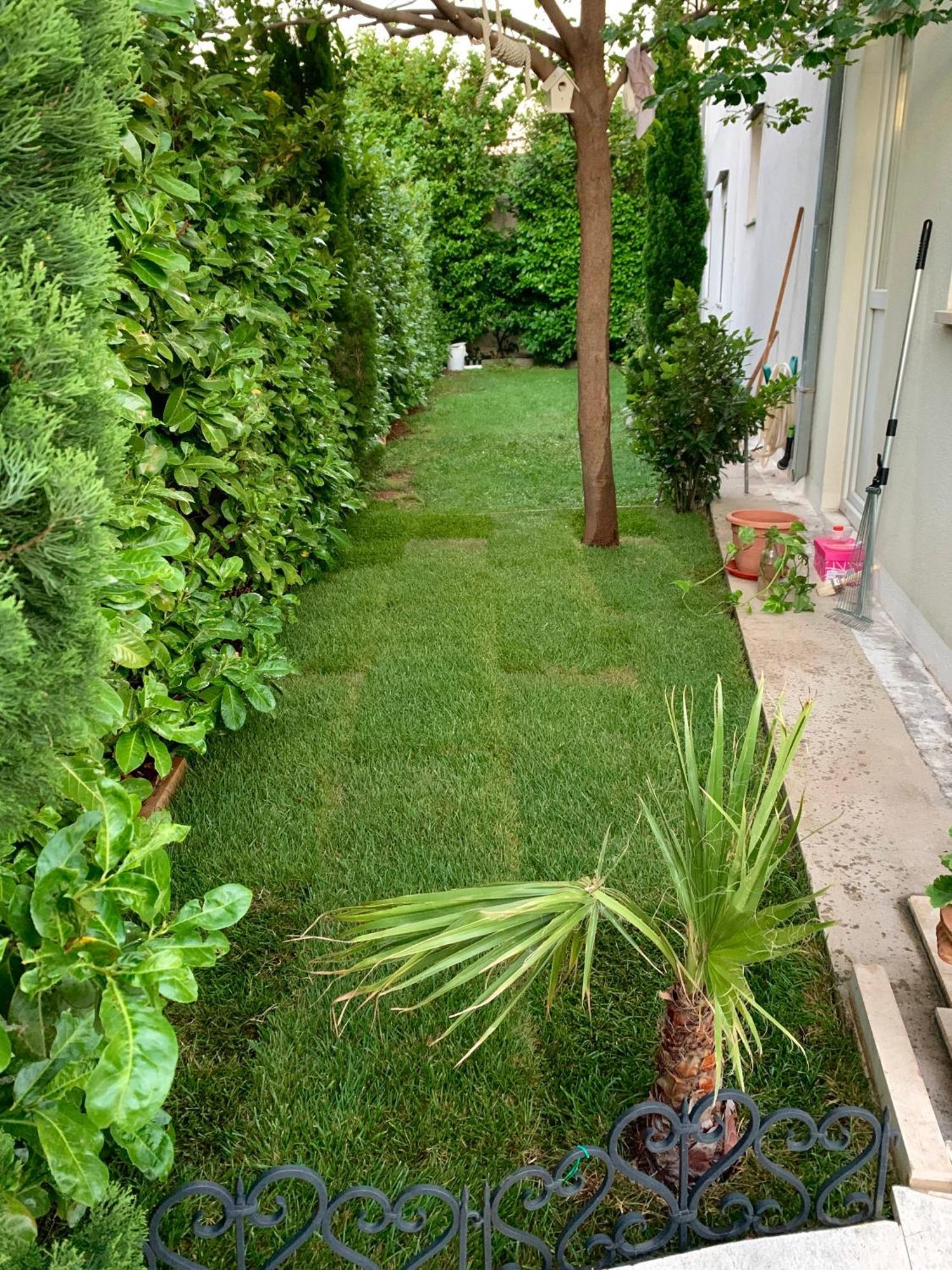 Apartman Filipovic Makarska Extérieur photo